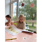 Nieuw leven: zaaien en planten 🌱🌺