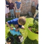 Nieuw leven: zaaien en planten 🌱🌺