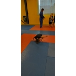 Sportdag
