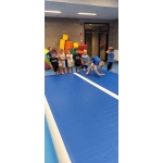 Sportdag