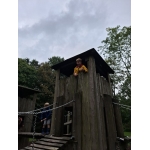 Naar het bos