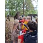 Naar het bos