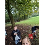 Naar het bos