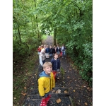 Naar het bos