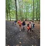 Naar het bos