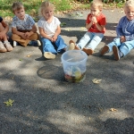 Wilma Wonder en de tak