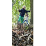 Het bos 🍁