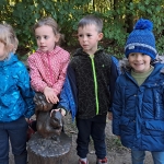 Het bos 🍁