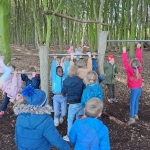 Het bos 🍁
