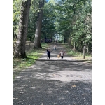 Het bos 🍁
