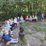 Het bos 🍁
