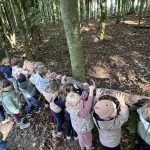 Het bos 🍁