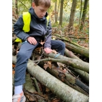 bosleerwandeling en park- en bosspelen
