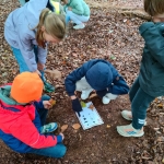 bosleerwandeling en park- en bosspelen