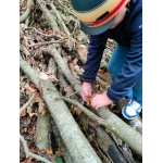 bosleerwandeling en park- en bosspelen