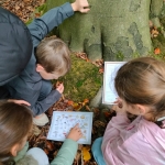 bosleerwandeling en park- en bosspelen